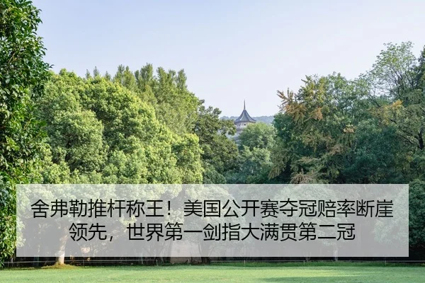 she-fu-lei-tui-gan-cheng-wang-mei-guo-gong-kai-sai-duo-guan-pei-lv-duan-ya-ling-xian-shi-jie-di-yi-jian-zhi-da-man-guan-2-451.jpg