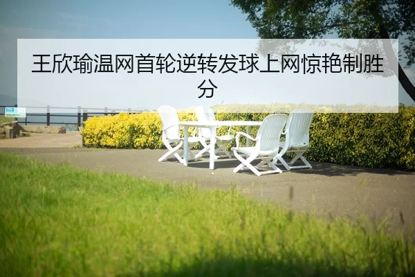 wang-xin-yu-wen-wang-shou-lun-ni-zhuan-fa-qiu-shang-wang-jing-yan-zhi-sheng-fen-2-677.jpg