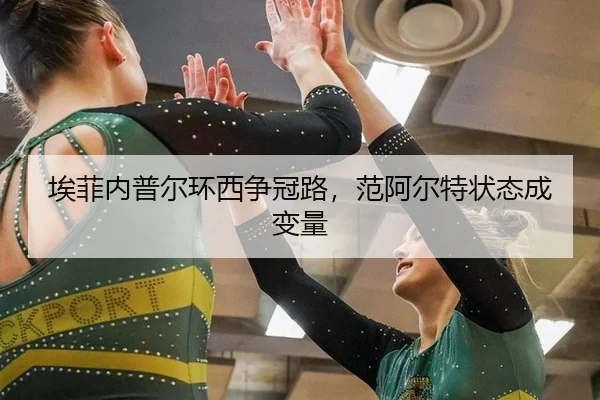 埃菲内普尔环西争冠路，范阿尔特状态成变量
